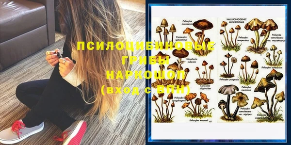 ешки Абинск