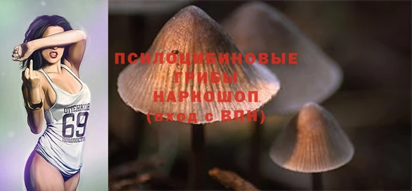 ешки Абинск