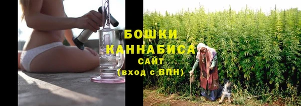 амф Вяземский