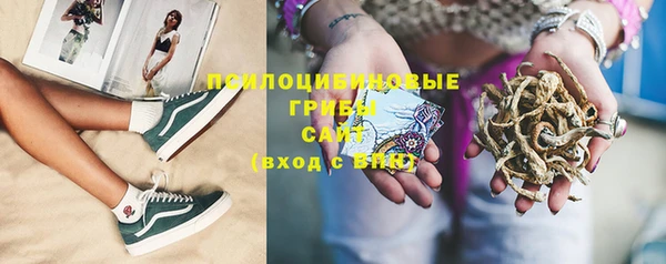 ешки Абинск