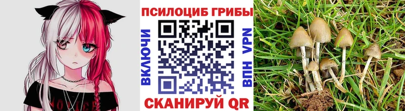 Псилоцибиновые грибы GOLDEN TEACHER  наркотики  Туринск 